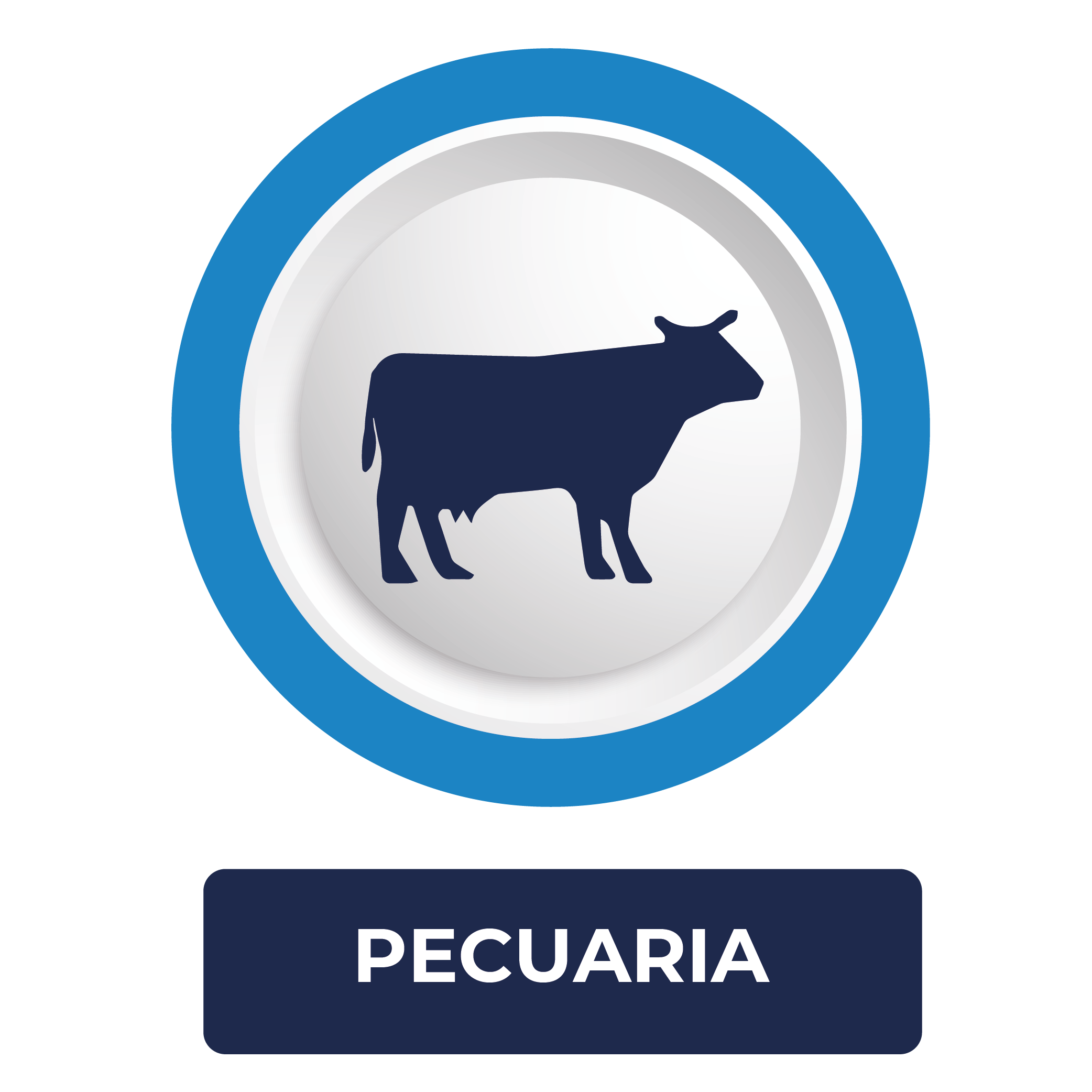 Pecuaria